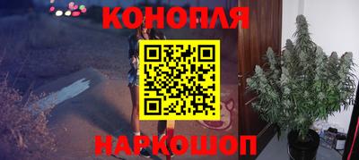 шишки Абинск