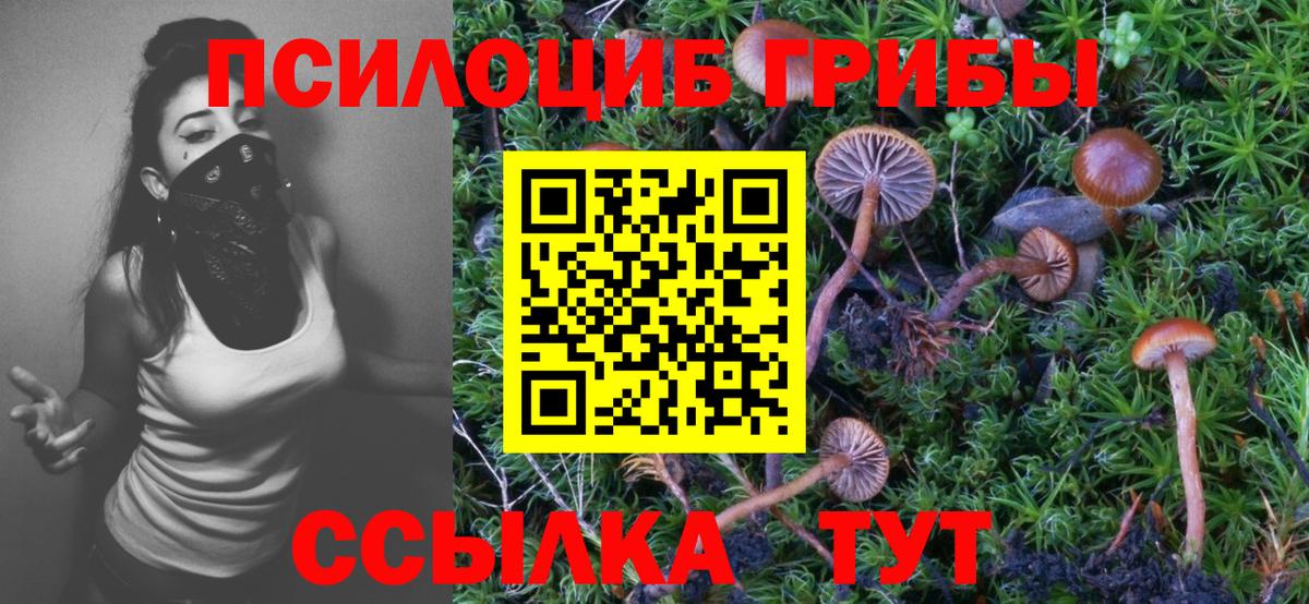 Назрань  Галлюциногенные грибы Cubensis  Вход с VPN  Псилоцибиновые грибы MAGIC MUSHROOMS 