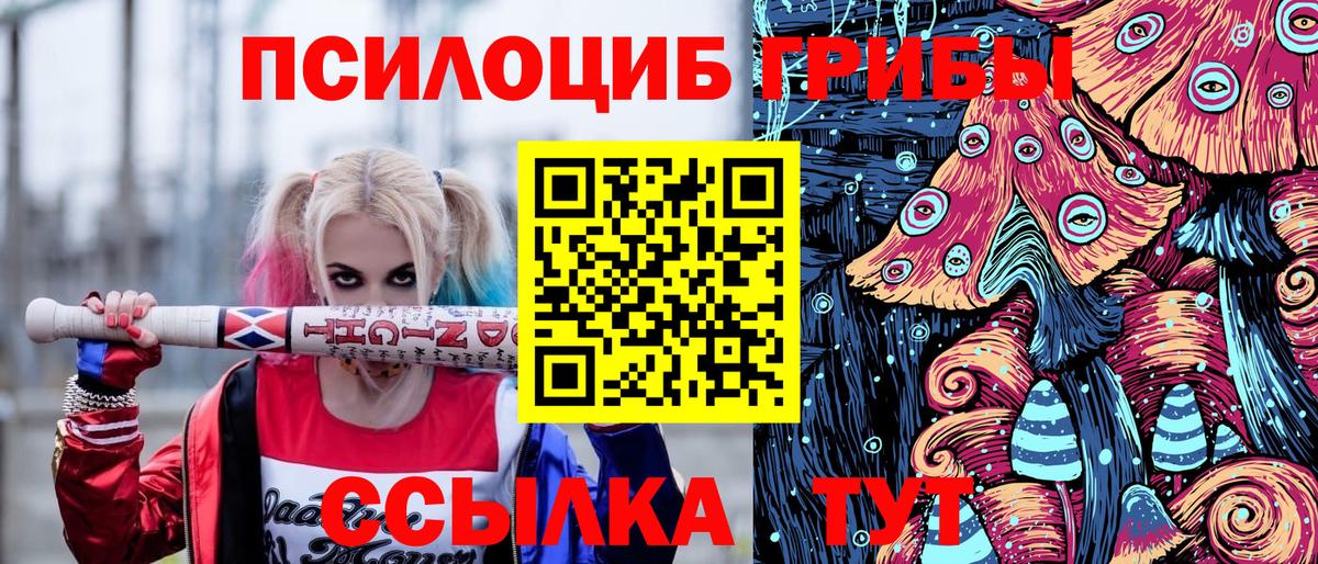 Псилоцибиновые грибы Psilocybe  Назрань  Псилоцибиновые грибы мицелий 