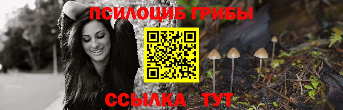 Псилоцибиновые грибы мухоморы Назрань